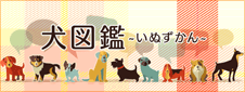 犬図鑑