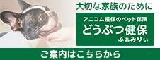 アニコム損保のペット保険　動物保険