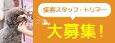 接客スタッフ/トリマー大募集！！