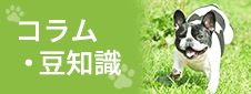 コラム・豆知識