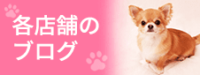 各店舗のブログ