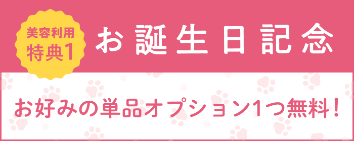 美容利用特典1 お誕生日記念 お好みの単品オプション1つ無料!