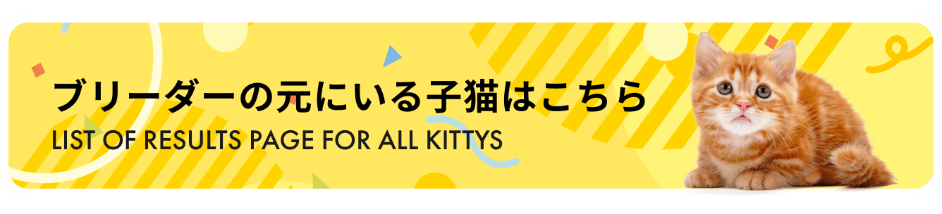 ブリーダーの元にいる子猫はこちら