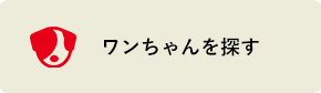 ワンちゃんを探す