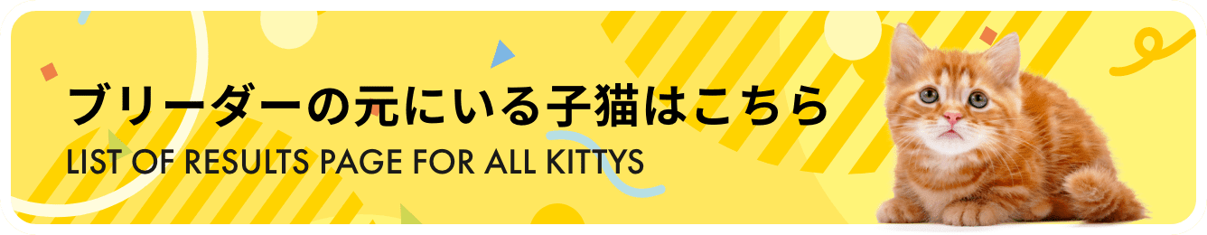 ブリーダーの元にいる子猫はこちら